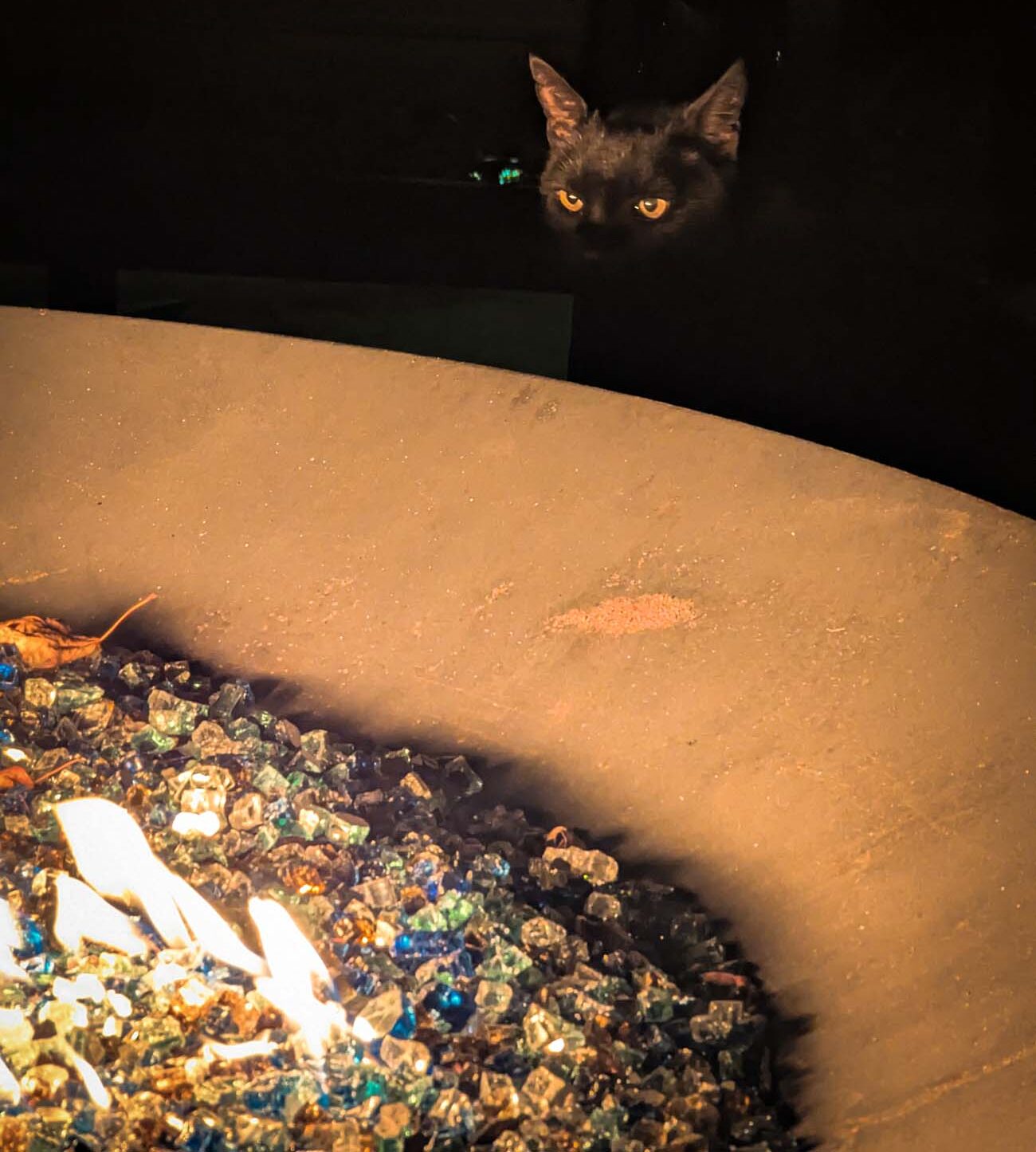 Squeaky the cat's glowing amber eyes peer over the edge of Brampton's fire pit area at night, with decorative glass stones reflecting the ambient lighting.