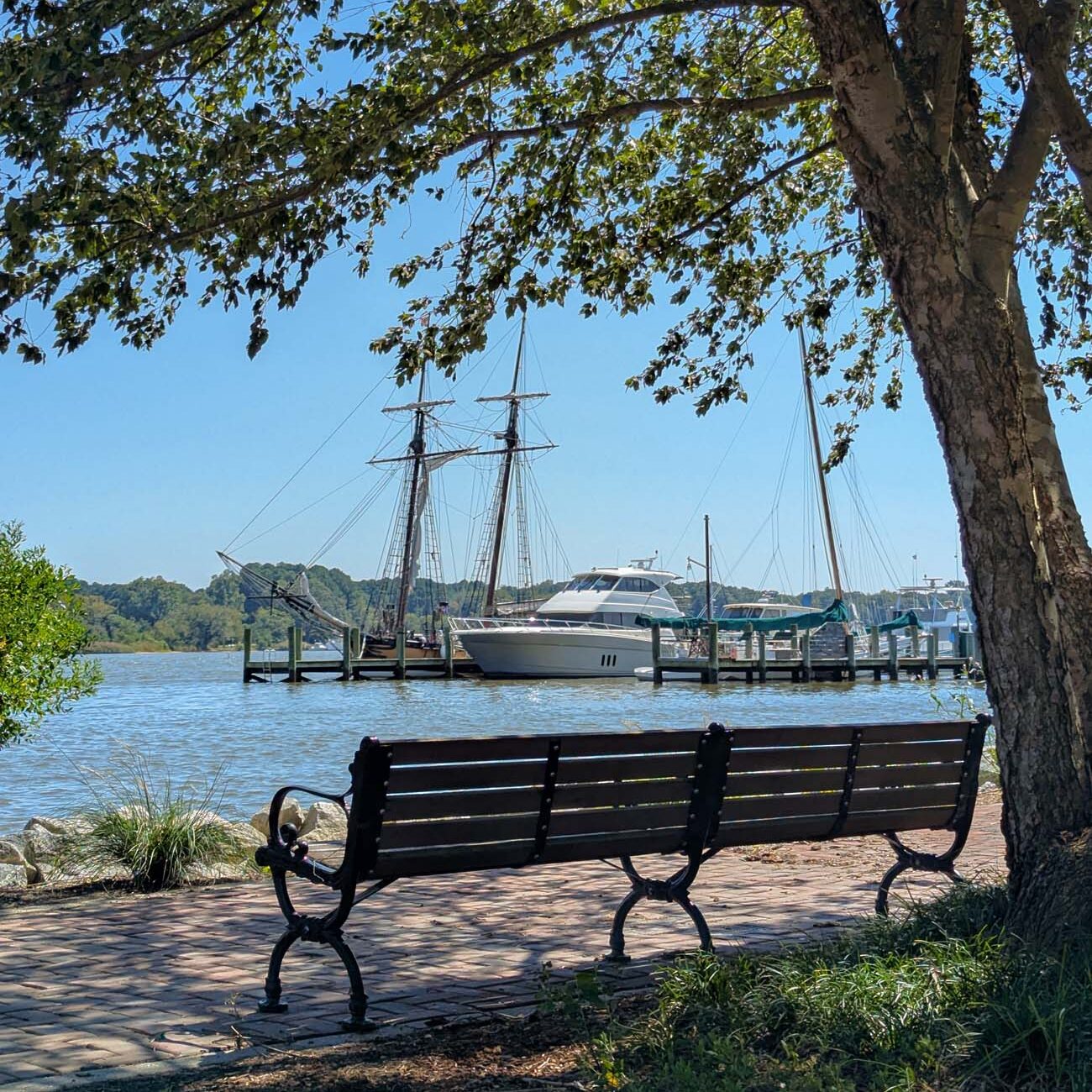 A peaceful waterfront view in historic Chestertown showing tall ships and pleasure boats docked along the Chester River, with a park bench under shade trees.