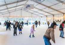 What to Do in WA in November