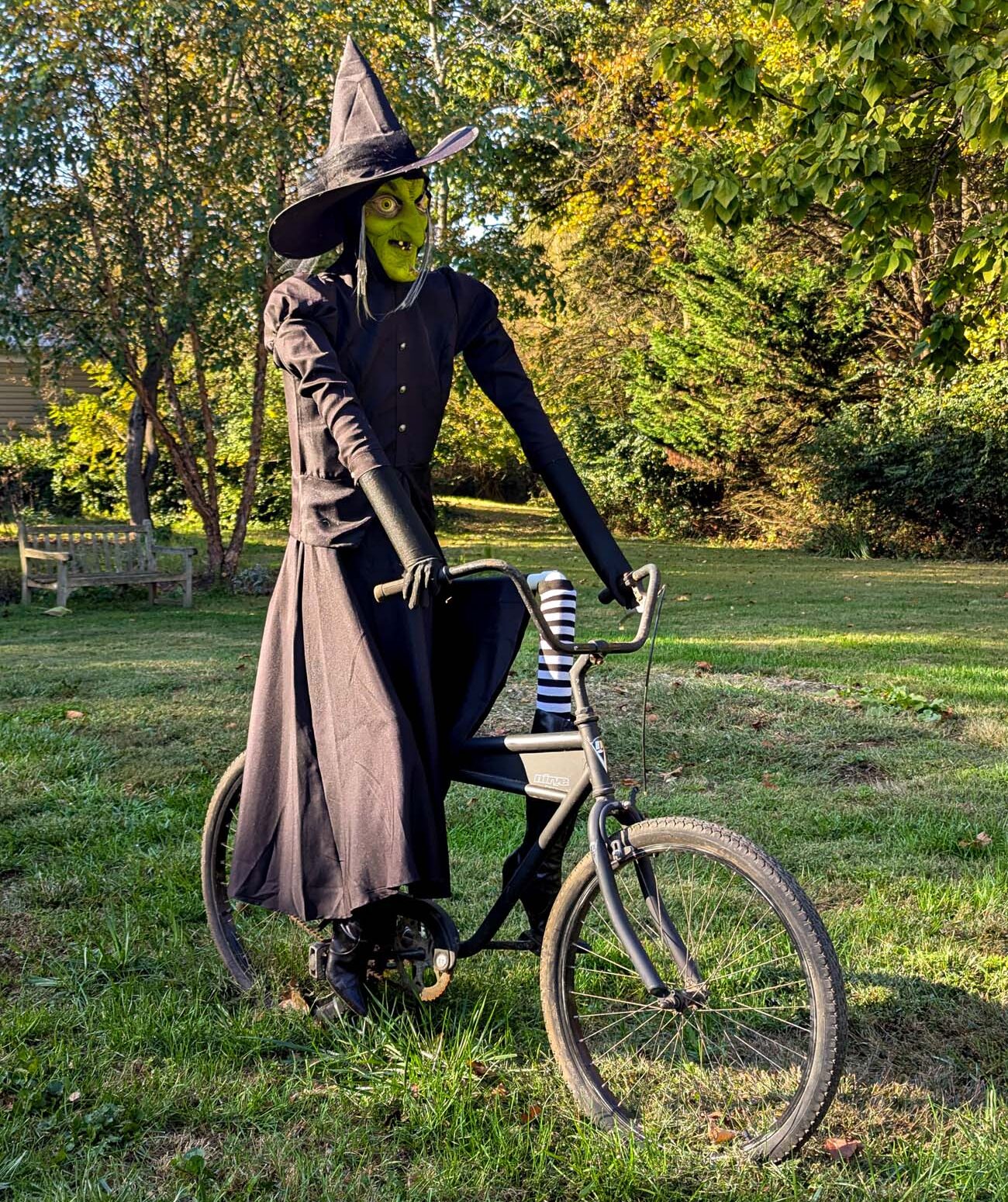 Life-size witch figure with green face and black robes positioned on vintage bicycle on lawn with fall trees in background