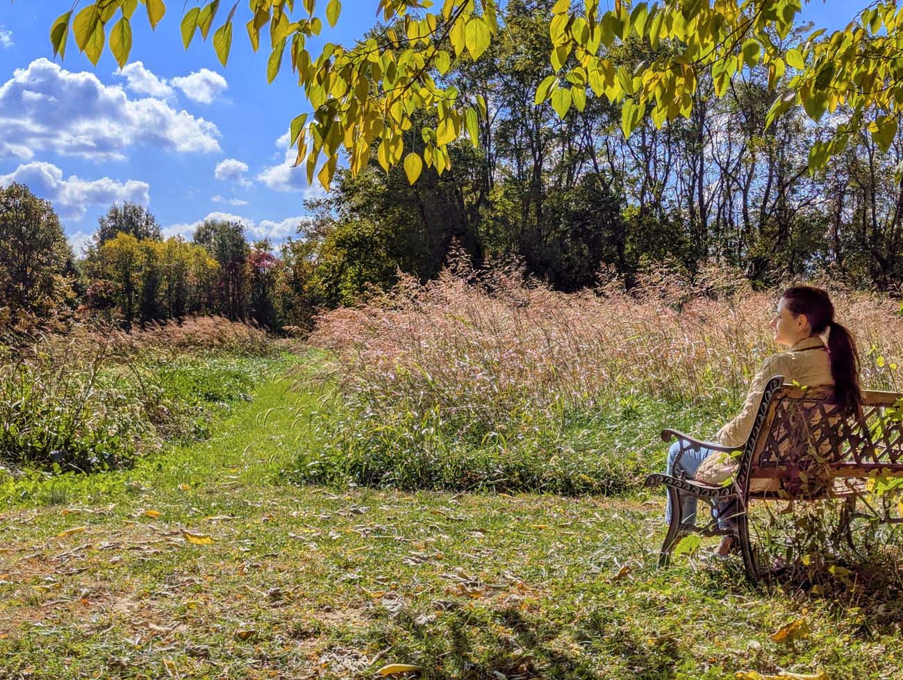 Woman in tan jacket sitting on ornate metal bench overlooking golden meadow with tall grasses, yellow-green leaves framing the top of image, mixed forest with fall colors in background under blue sky with white clouds