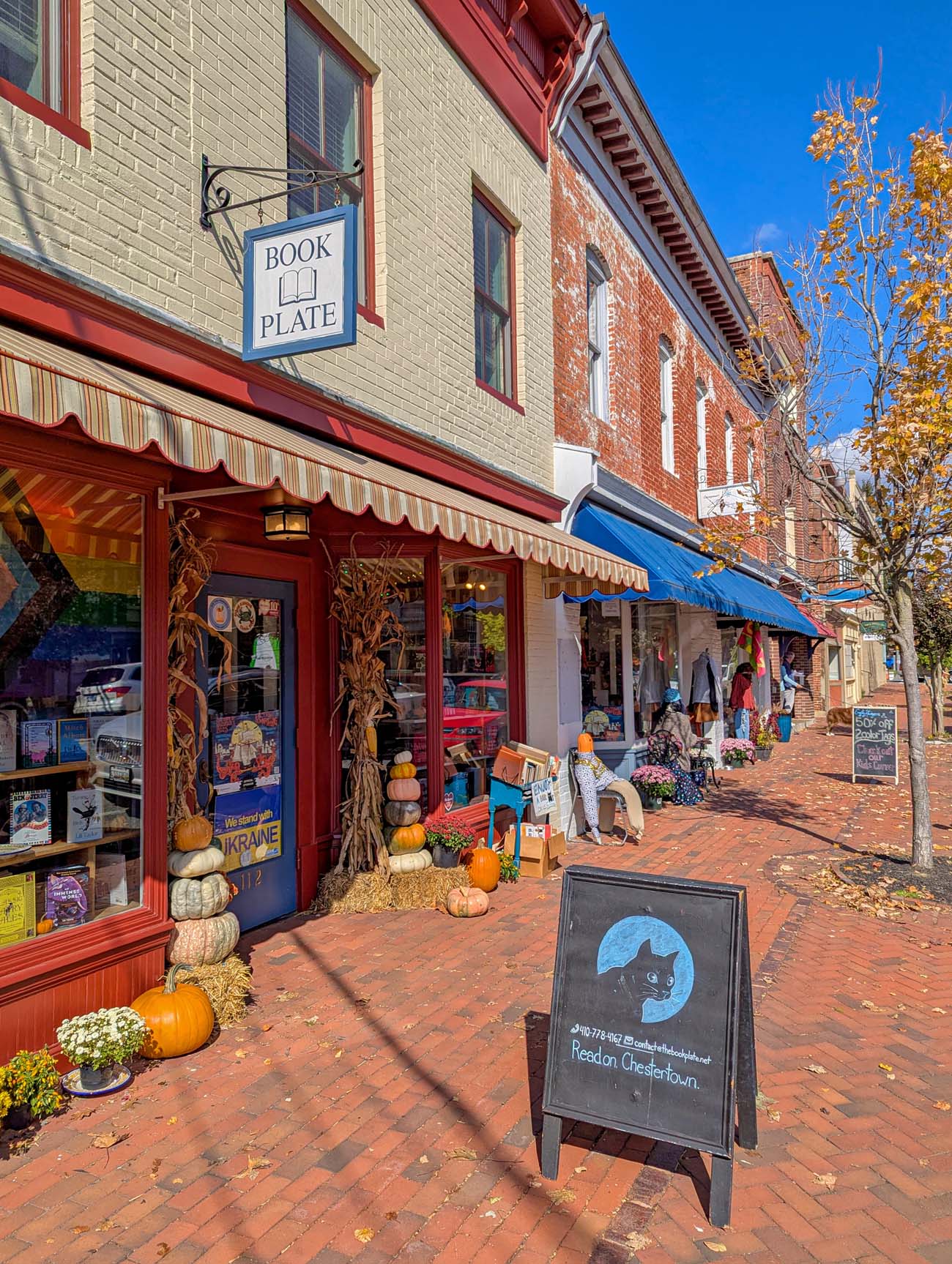 Book Plate bookstore with red awning and storefront window, scarecrow decorations, pumpkins stacked by entrance, blue Cat Colloquium sandwich board sign, brick sidewalk with other shops visible including blue awning