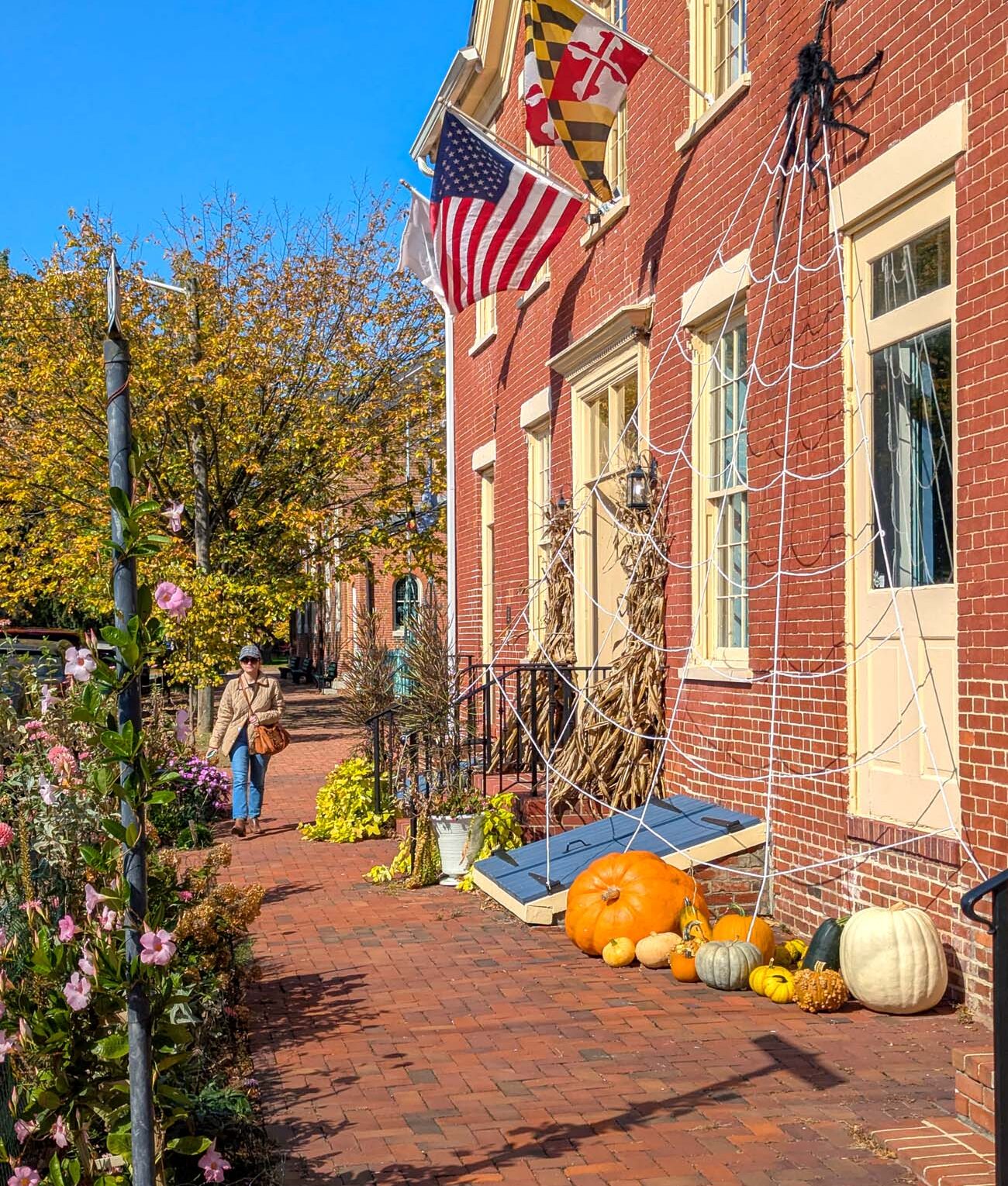 Historic brick sidewalk in downtown Chestertown with red brick buildings displaying Maryland and American flags, corn stalks and spider web decorations, pumpkins and gourds on stoops, person walking, fall trees visible