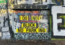 Slog AM: Arboretum Coyote Killed, Seattle Aquarium Acquires New Otter, Border Patrol Is Tracking Drivers’ Movements