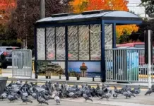 Slog AM: Dems Release Epstein Messages, Wilson’s Lead Grows, and Vote on Bill to End Shutdown Expected Today