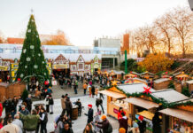 Things to Do in Seattle