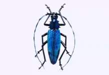 November Things to Do: Visual Art